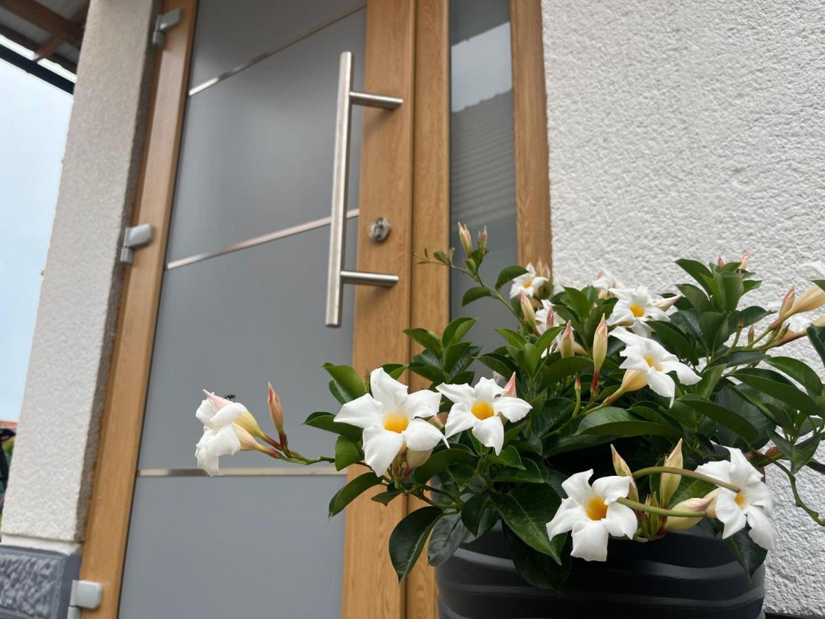 Apartman Mara Mala Subotica Exteriör bild